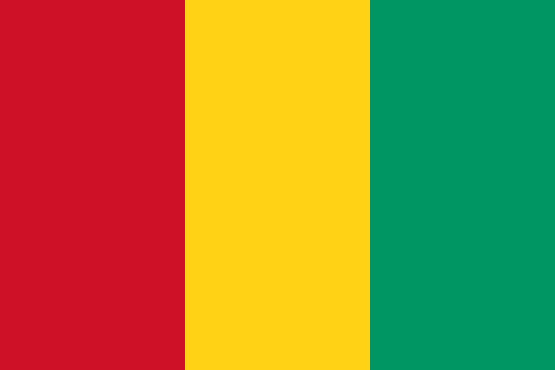 Formations en Guinée