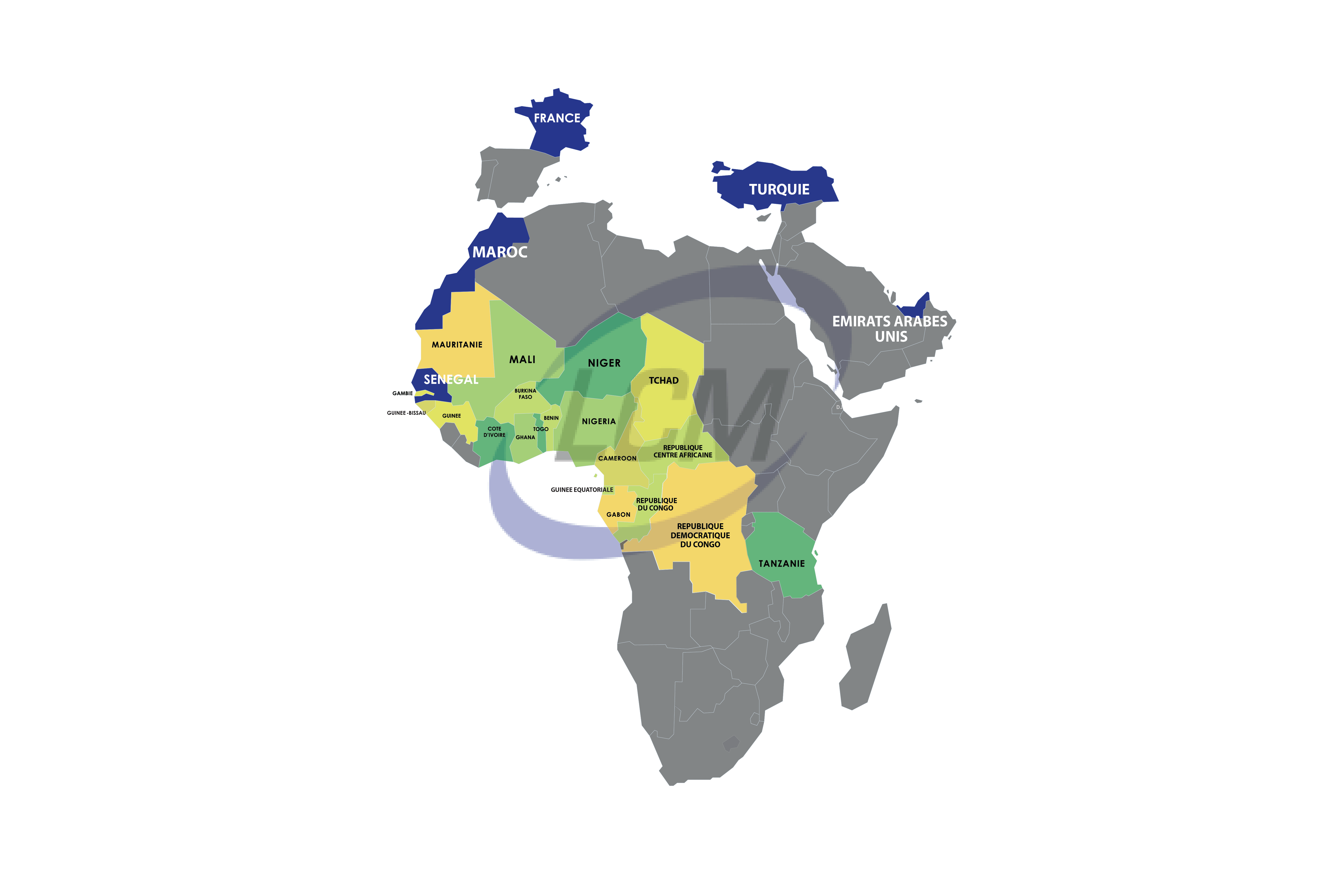 Presence de LCM en Afrique